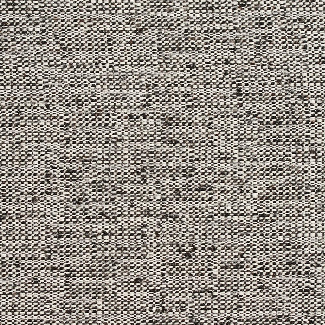 D343 Raven by Charlotte Designer Fabric Crypton Volume 2 54% Olefin, 46% Polyester Made In USA Exceeds 60,000 Wyzenbeek Rubs (Heavy Duty) No Repeat 54 Inches - Swanky Fabrics -