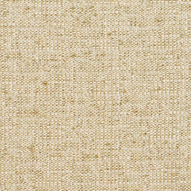 D344 Meadow by Charlotte Designer Fabric Crypton Volume 2 54% Olefin, 46% Polyester Made In USA Exceeds 60,000 Wyzenbeek Rubs (Heavy Duty) No Repeat 54 Inches - Swanky Fabrics -