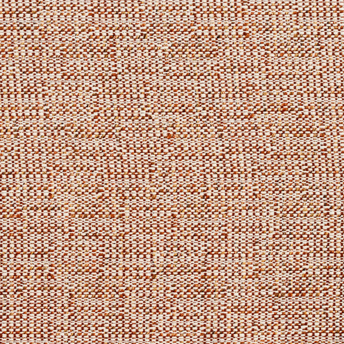 D349 Sienna by Charlotte Designer Fabric Crypton Volume 2 54% Olefin, 46% Polyester Made In USA Exceeds 60,000 Wyzenbeek Rubs (Heavy Duty) No Repeat 54 Inches - Swanky Fabrics -