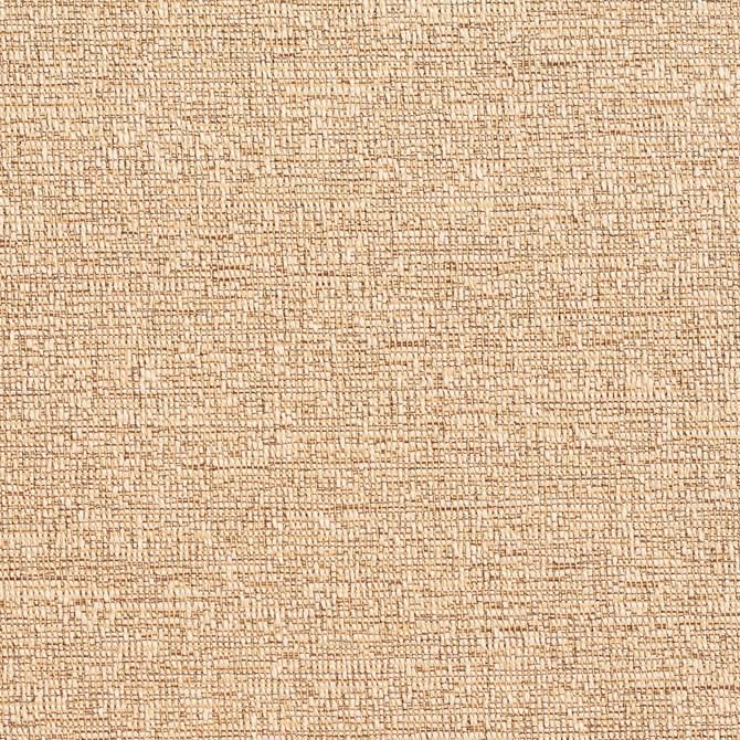 D353 Fawn by Charlotte Designer Fabric Crypton Volume 2 60% Cotton, 40% Polyester Made In USA Exceeds 66,000 Wyzenbeek Rubs (Heavy Duty) No Repeat 54 Inches - Swanky Fabrics -