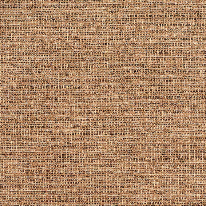 D361 Driftwood by Charlotte Designer Fabric Crypton Volume 2 60% Cotton, 40% Polyester Made In USA Exceeds 66,000 Wyzenbeek Rubs (Heavy Duty) No Repeat 54 Inches - Swanky Fabrics -