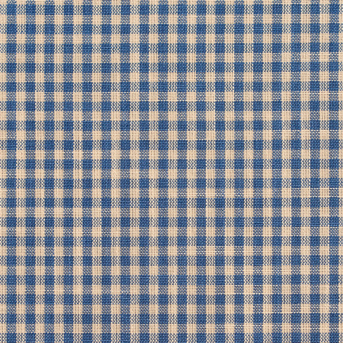 D116 Wedgewood Gingham by Charlotte Designer Fabric Clubhouse Collection 100% Woven Polyester Asia Exceeds 120,000 Wyzenbeek Rubs (Heavy Duty) Horizontal: .5" x Vertical: .5" 54 Inches - Swanky Fabrics -
