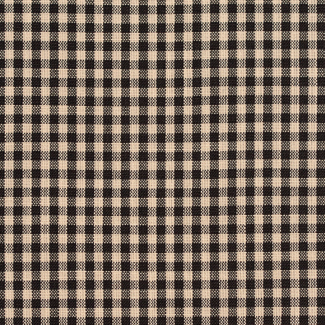 D117 Onyx Gingham by Charlotte Designer Fabric Clubhouse Collection 100% Woven Polyester Asia Exceeds 120,000 Wyzenbeek Rubs (Heavy Duty) </p><p>Repeat: Horizontal: .5" x Vertical: .5" 54 Inches - Swanky Fabrics -