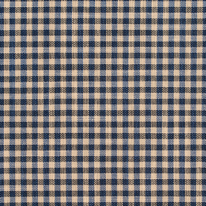 D120 Indigo Gingham by Charlotte Designer Fabric Clubhouse Collection 100% Woven Polyester Asia Exceeds 120,000 Wyzenbeek Rubs (Heavy Duty) Horizontal: .5" x Vertical: .5" 54 Inches - Swanky Fabrics -