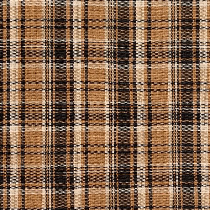 D152 Onyx Tartan by Charlotte Designer Fabric Clubhouse Collection 100% Woven Polyester Asia Exceeds 120,000 Wyzenbeek Rubs (Heavy Duty) </p><p>Repeat: Horizontal: 3.75" x Vertical: 3.75" 54 Inches - Swanky Fabrics -