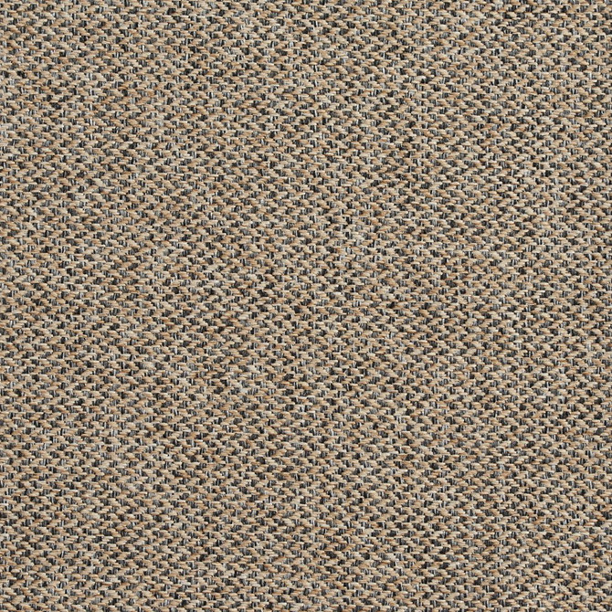 R251 Lexington by Charlotte Designer Fabric Ring Book Page #17B 100% Woven Polyester Asia Exceeds 80,000 Wyzenbeek Rubs (Heavy Duty) </p><p>Repeat: 54 Inches - Swanky Fabrics -