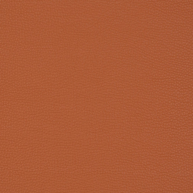 V203 Sienna by Charlotte Designer Fabric UltraHyde III Face: Vinyl/Polyurethane, Back: Polyester Microsuede, 29oz. Asia Exceeds 2,000,000 Wyzenbeek Double Rubs (Heavy Duty) </p><p>Repeat: 54 Inches - Swanky Fabrics -