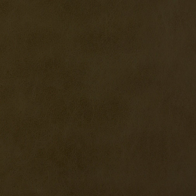 V228 Caper by Charlotte Designer Fabric UltraHyde III Face: Vinyl/Polyurethane, Back: Polyester Microsuede, 29oz. Asia Exceeds 200,000 Wyzenbeek Rubs (Heavy Duty) No Repeat 54 Inches - Swanky Fabrics -