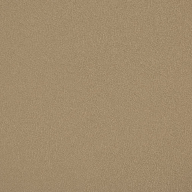 V385 Hazelwood by Charlotte Designer Fabric Automotive Vinyl 100% Virgin Vinyl, 30oz. Asia Exceeds 220,000 Wyzenbeek Rubs (Heavy Duty) No Repeat 54 Inches - Swanky Fabrics -