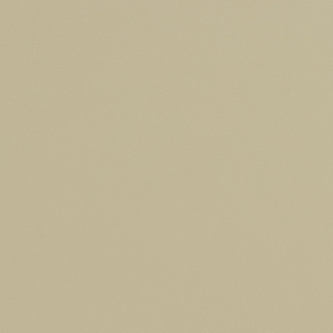 V282 Concrete by Charlotte Designer Fabric Contract Vinyl 100% Virgin Vinyl, 34oz. Costa Rica Exceeds 200,000 Wyzenbeek Rubs (Heavy Duty) No Repeat 54 Inches - Swanky Fabrics -
