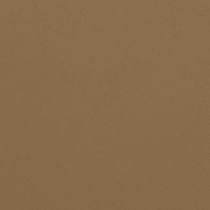 V310 Latte by Charlotte Designer Fabric Contract Vinyl 100% Virgin Vinyl, 34oz. Costa Rica Exceeds 200,000 Wyzenbeek Rubs (Heavy Duty) No Repeat 54 Inches - Swanky Fabrics -