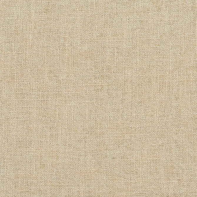 D706 Cornsilk by Charlotte Designer Fabric Chenille Textures 82% Polyester, 18% Rayon Asia Exceeds 80,000 Wyzenbeek Rubs (Heavy Duty) No Repeat 54 Inches - Swanky Fabrics -