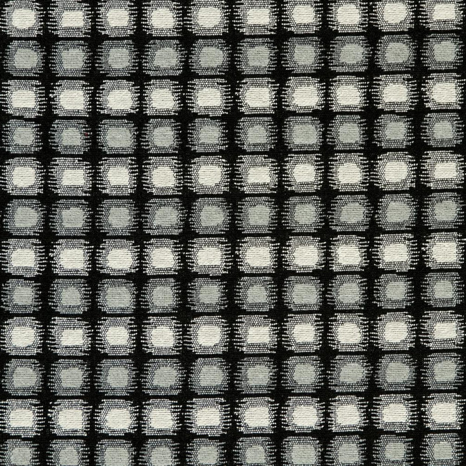CB800-123 by Charlotte Designer Fabric Black & White 41% Cotton, 34% Polyester, 25% Olefin Made In USA Exceeds 66,000 Wyzenbeek Rubs (Heavy Duty) </p><p>Repeat: Horizontal: 2" x Vertical: 1" 54 Inches - Swanky Fabrics -