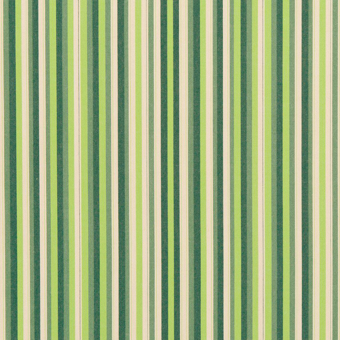 30040-01 by Charlotte Designer Fabric Woven Acrylics 100% Solution Dyed Acrylic Spain Exceeds 60,000 Wyzenbeek Rubs (Heavy Duty) Horizontal: 8" 54 Inches - Swanky Fabrics -