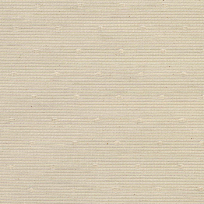 CB700-12 by Charlotte Designer Fabric White 55% Cotton, 45% Polyester Spain Exceeds 30,000 Wyzenbeek Rubs (Heavy Duty) Horizontal: 2" x Vertical: 2" 54 Inches - Swanky Fabrics -