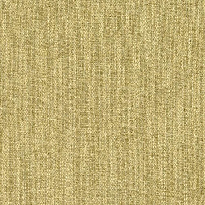 CB600-110 by Charlotte Designer Fabric Shades of Spring 100% Woven Polyester Asia Exceeds 120,000 Wyzenbeek Rubs (Heavy Duty) </p><p>Repeat: No Repeat 54 Inches - Swanky Fabrics -