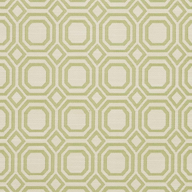 CB700-307 by Charlotte Designer Fabric Shades of Spring 100% Woven Polyester Asia Exceeds 50,000 Wyzenbeek Rubs (Heavy Duty) </p><p>Repeat: Horizontal: 2.25" x Vertical: 2.25" 54 Inches - Swanky Fabrics -