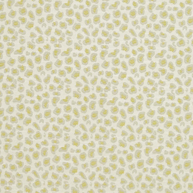 CB700-310 by Charlotte Designer Fabric Shades of Spring 100% Woven Polyester Asia Exceeds 120,000 Wyzenbeek Rubs (Heavy Duty) Horizontal 3.5" x Vertical 3.5" 54 Inches - Swanky Fabrics -