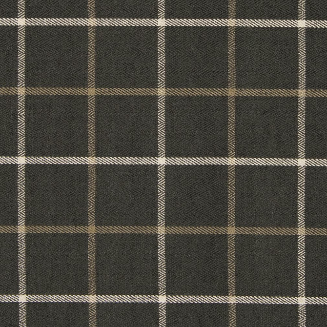 CB800-165 by Charlotte Designer Fabric Shades of Graphite 64% Cotton, 32% Viscose, 4% Polyester Asia Exceeds 60,000 Wyzenbeek Rubs (Heavy Duty) </p><p>Repeat: Horizontal: 5" x Vertical: 5" 54 Inches - Swanky Fabrics -