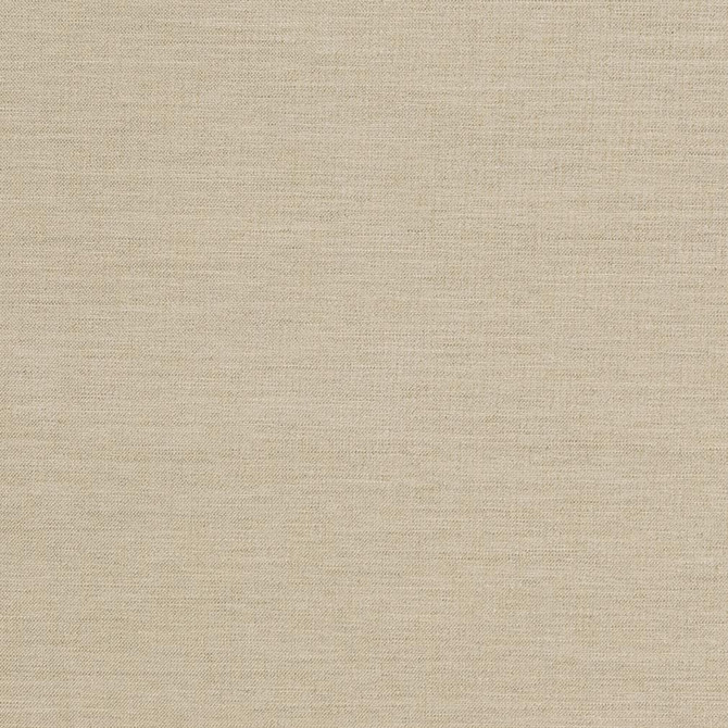 D1008 Sandstone by Charlotte Designer Fabric Prints & Wovens 100% Solution Dyed Woven Acrylic Made In USA Exceeds 60,000 Wyzenbeek Rubs (Heavy Duty) No Repeat 54 Inches - Swanky Fabrics -