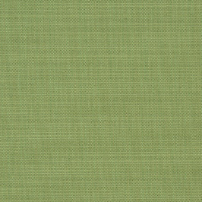 D1015 Basil by Charlotte Designer Fabric Prints & Wovens 100% Solution Dyed Woven Acrylic Made In USA Exceeds 60,000 Wyzenbeek Rubs (Heavy Duty) No Repeat 54 Inches - Swanky Fabrics -