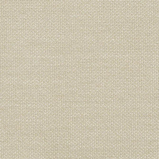 D825 Pumice by Charlotte Designer Fabric Contemporary Wovens II 100% Woven Polyester Asia Exceeds 40,000 Wyzenbeek Rubs (Heavy Duty) No Repeat 54 Inches - Swanky Fabrics -
