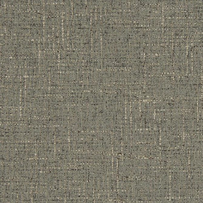 D850 Pebble by Charlotte Designer Fabric Contemporary Wovens II 100% Woven Polyester Asia Exceeds 100,000 Wyzenbeek Rubs (Heavy Duty) No Repeat 54 Inches - Swanky Fabrics -