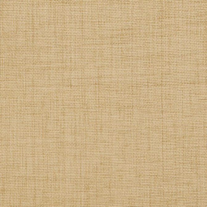 D958 Birch by Charlotte Designer Fabric Prints & Wovens 100% Solution Dyed Woven Acrylic Made In USA Exceeds 50,000 Wyzenbeek Rubs (Heavy Duty) </p><p>Repeat: 54 Inches - Swanky Fabrics -