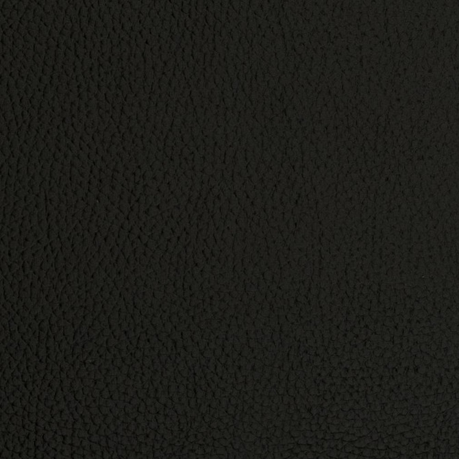 V423 Onyx by Charlotte Designer Fabric Marine Vinyl 100% Virgin Vinyl, 33oz. Asia Exceeds 220,000 Wyzenbeek Rubs (Heavy Duty) No Repeat 54 Inches - Swanky Fabrics -