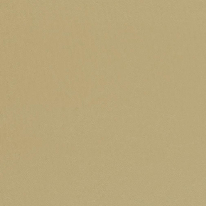 V444 Beach by Charlotte Designer Fabric Marine Vinyl 100% Virgin Vinyl, 33oz. Asia Exceeds 220,000 Wyzenbeek Rubs (Heavy Duty) No Repeat 54 Inches - Swanky Fabrics -