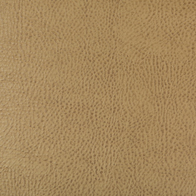 Kravet Design Beholder-16 by Kravet Design Designer Fabric