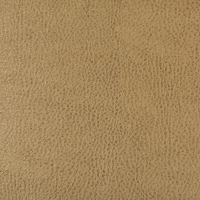 Beholder-16 by Kravet Design Designer Fabric - POLY VINYL CHLORIDE - 79%;POLYESTER - 21% China HEAVY Horizontal: 0 and Vertical: 0 54 - Swanky Fabrics -