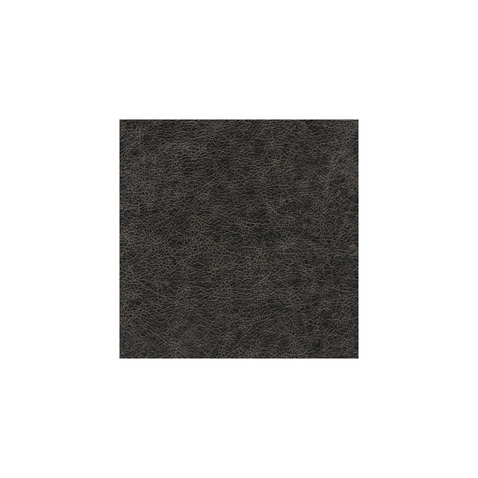 Enduring Rocker by Winfield Thybony Wallcovering Winfield Thybony Wallcovering Enduring RockerWallcovering WINFIELD THYBONY PERFORMACE VINYL 17 VINYL - 100% United States </p><p>Repeat: H: , V: 54 - Fabric Carolina -