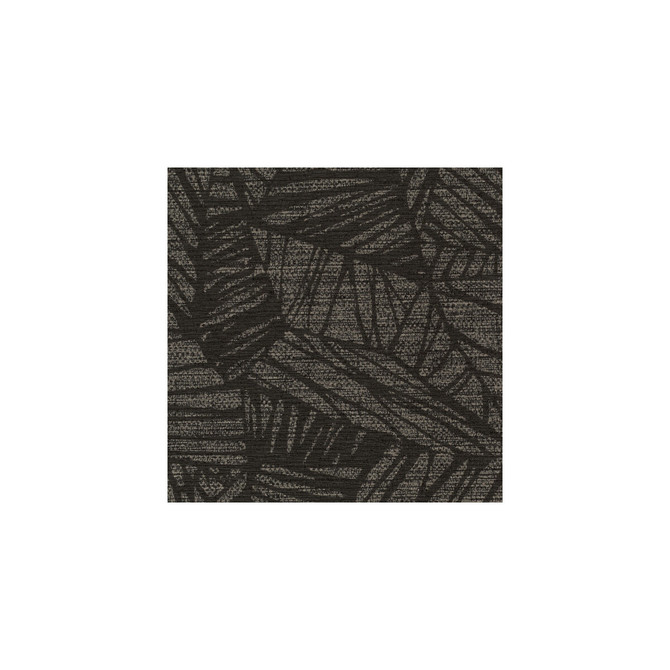 Phoenix Ebony by Winfield Thybony Wallcovering Winfield Thybony Wallcovering Phoenix EbonyWallcovering WINFIELD THYBONY THOM FILICIA VINYLS VINYL - 100% United States </p><p>Repeat: H: 0, V: 12.625 54 - Fabric Carolina -