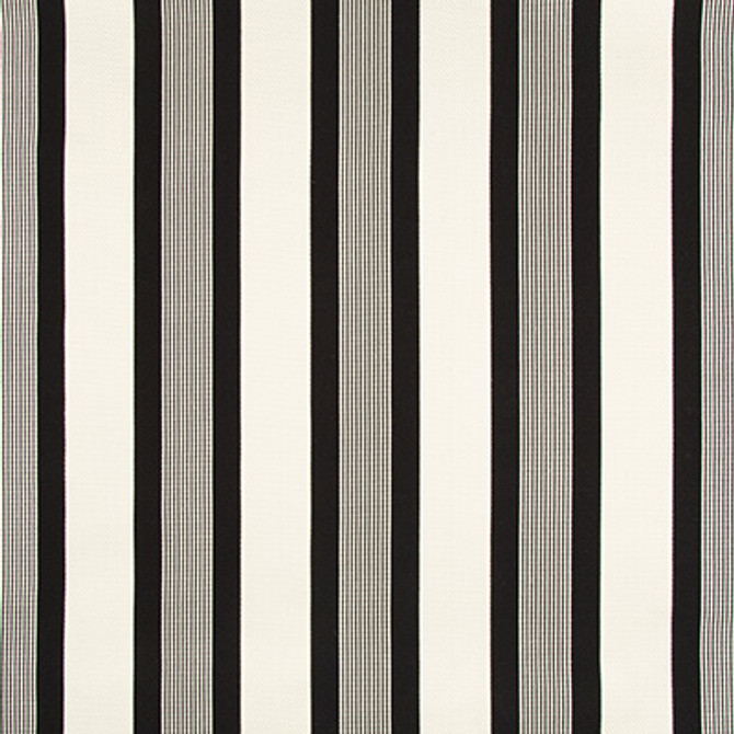 Black Tie Penguin by Kravet Design Designer Fabric