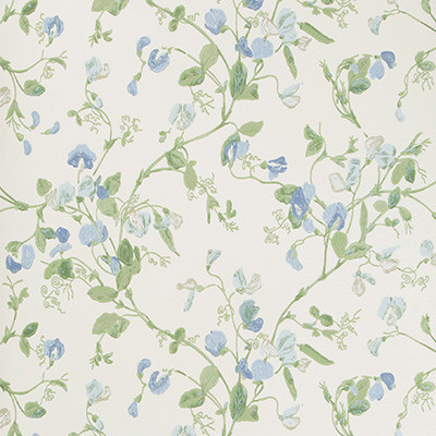 Sweet Pea Blue by Cole & Son Designer Wallcovering