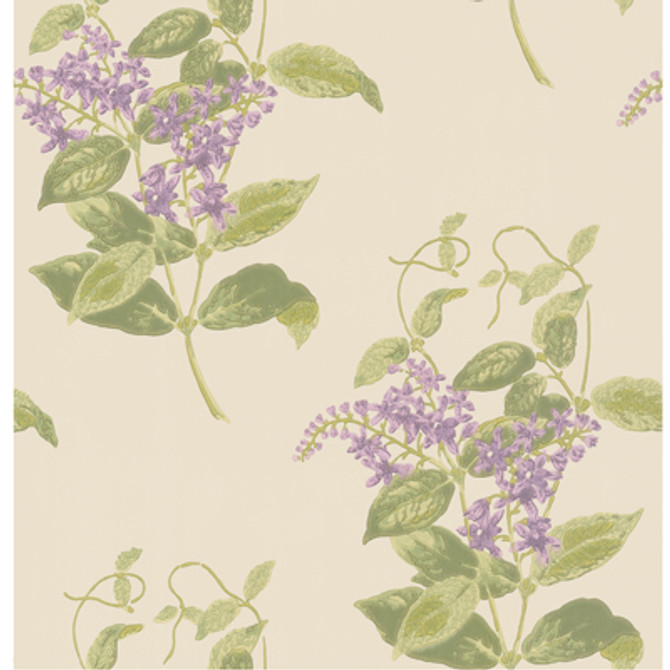 Madras Violet Olive & Lavender by Cole & Son Designer Wallcovering