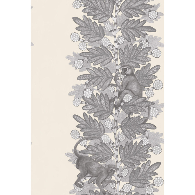 Acacia Grey & White by Cole & Son Wallcovering Cole & Son Wallcovering Acacia Grey & WhiteWallcovering COLE & SON ARDMORE PAPER - 100% United Kingdom </p><p>Repeat: H: , V: 30 20.5 - Fabric Carolina -