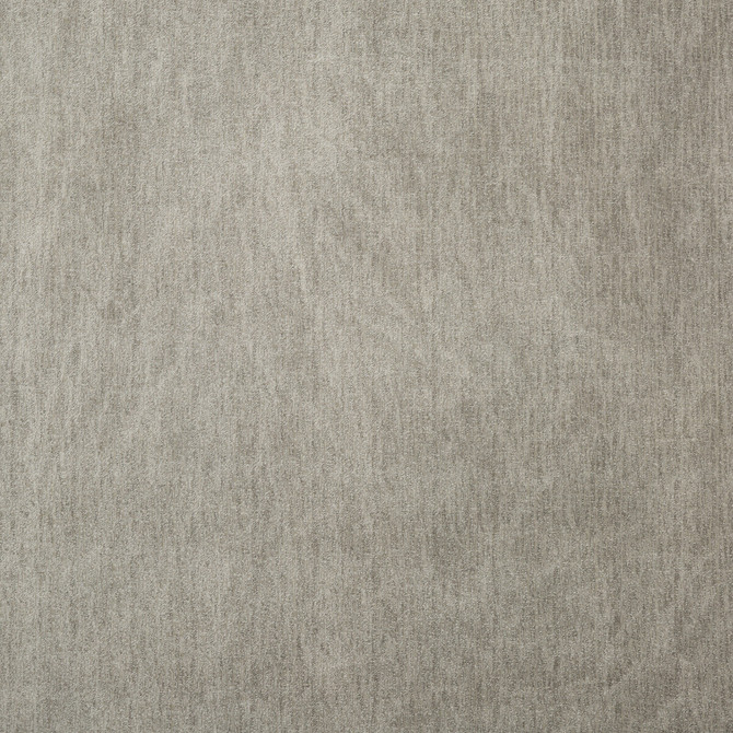 Arapa Taupe by Threads Designer Fabric ODYSSEY COTTON - 60%;VISCOSE - 40% Italy HEAVY Horizontal: - and Vertical: - 53.978 - Swanky Fabrics -