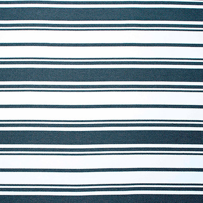 John Navy by Gaston Y Daniela Designer Fabric