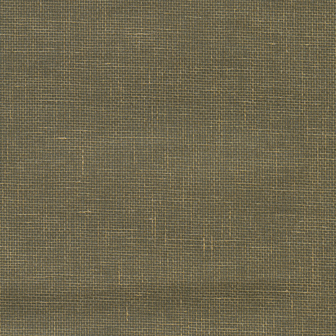 W3458-106 by Kravet Design Designer Wallcovering GRASS - 100% China Horizontal: and Vertical: 36 - Swanky Fabrics -