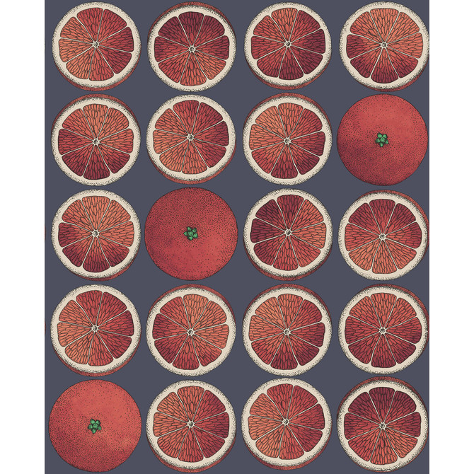 Arance Blood Orange/Ink by Cole & Son Wallcovering Cole & Son Wallcovering Arance Blood Orange/InkWallcovering COLE & SON FORNASETTI SENZA TEMPO PAPER - 100% United Kingdom </p><p>Repeat: H: 20.5, V: 25.2 20.5 - Fabric Carolina -