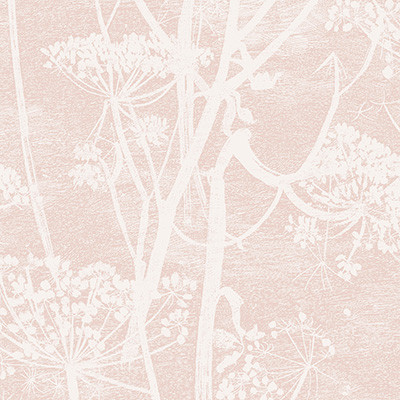 Cow Parsley Plaster Pink by Cole & Son Designer Wallcovering
