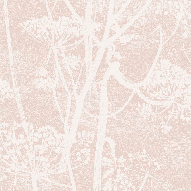 Cow Parsley Plaster Pink by Cole & Son Wallcovering Cole & Son Wallcovering Cow Parsley Plaster PinkWallcovering COLE & SON ICONS PAPER - 100% United Kingdom </p><p>Repeat: H: , V: 30 21 - Fabric Carolina -