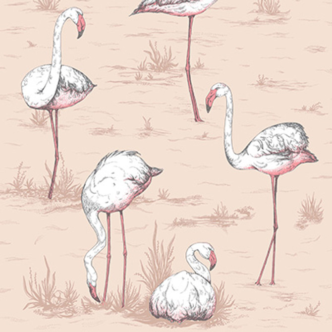 Flamingos Plaster Pink by Cole & Son Designer Wallcovering