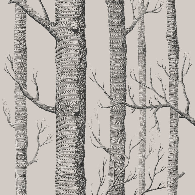 Woods Linen/Charcoal by Cole & Son Wallcovering Cole & Son Wallcovering Woods Linen/CharcoalWallcovering COLE & SON ICONS PAPER - 100% United Kingdom </p><p>Repeat: H: , V: 28.3 20.5 - Fabric Carolina -