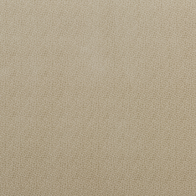 Salsa Spot Parchment by Baker Lifestyle Designer Fabric CARNIVAL VISCOSE - 75%;POLYESTER - 25% Belgium HEAVY Horizontal: 2.758 and Vertical: 3.546 53.978 - Swanky Fabrics -