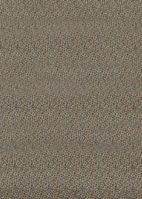 Salsa Two Spot Silver by Baker Lifestyle Designer Fabric