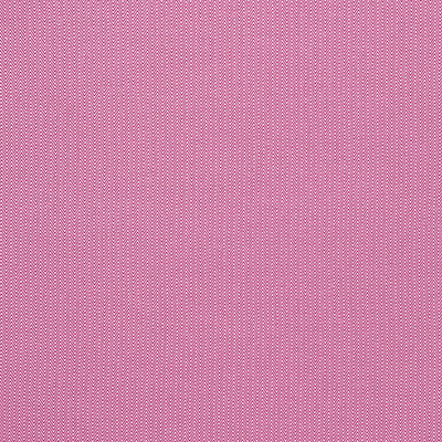 Donald Frambuesa by Gaston Y Daniela Designer Fabric