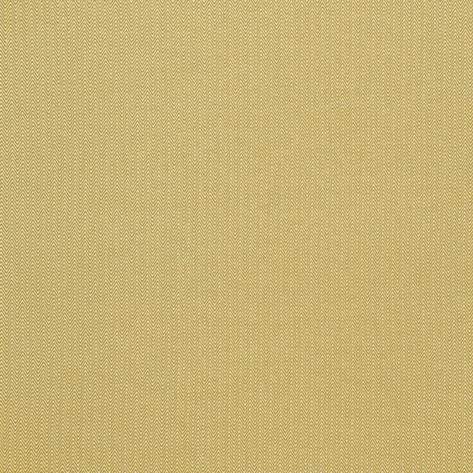 Donald Amarillo by Gaston Y Daniela Designer Fabric GASTON AFRICALIA POLYPROPYLENE - 100% Belgium HEAVY Horizontal: 0.24 and Vertical: 0.67 61 - Swanky Fabrics -